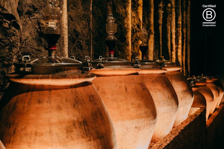 Amarone Wine Tasting Tour fra Verona med privat transport