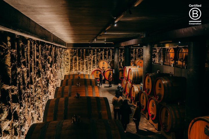 Amarone Wine Tasting Tour fra Verona med privat transport