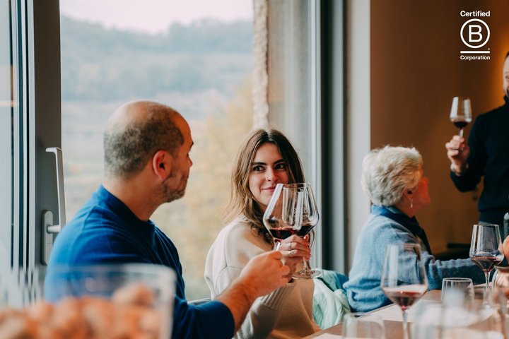 Amarone Wine Tasting Tour fra Verona med privat transport