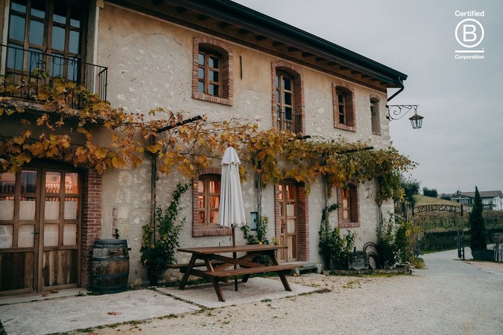 Amarone Wine Tasting Tour fra Verona med privat transport