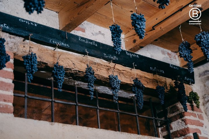 Amarone Wine Tasting Tour fra Verona med privat transport