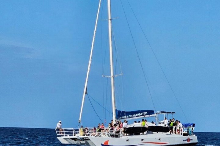 Waikiki Schildkröte Schnorcheln & 6 - in - 1 Abenteuer mit kostenloser Abholung