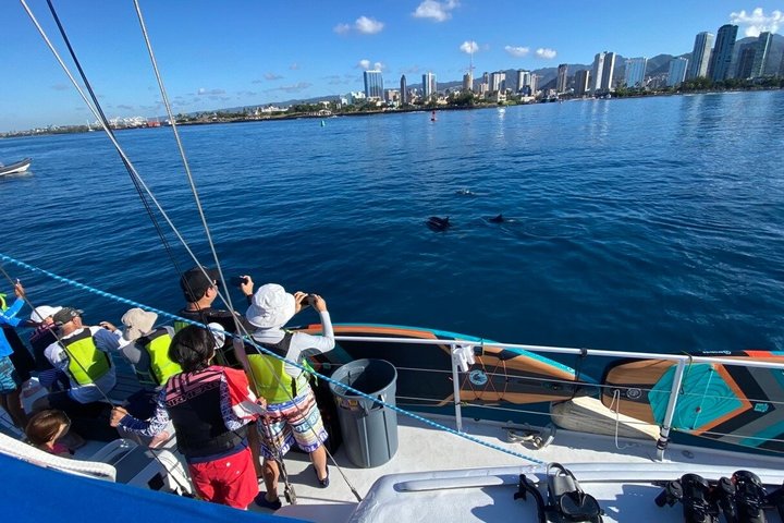 Waikiki Schildkröte Schnorcheln & 6 - in - 1 Abenteuer mit kostenloser Abholung
