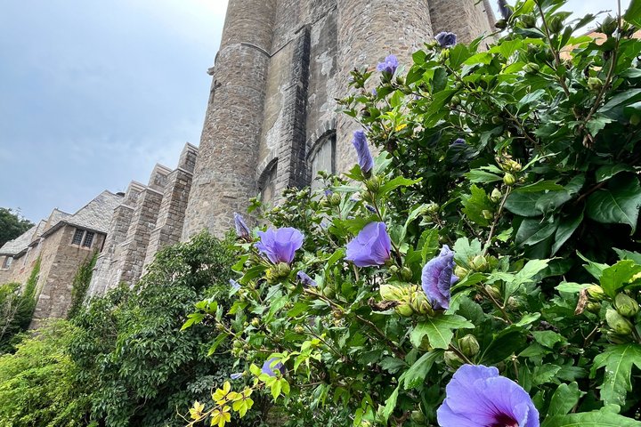 Excursão de um dia autoguiada pelo Museu do Castelo de Hammond a partir de Boston