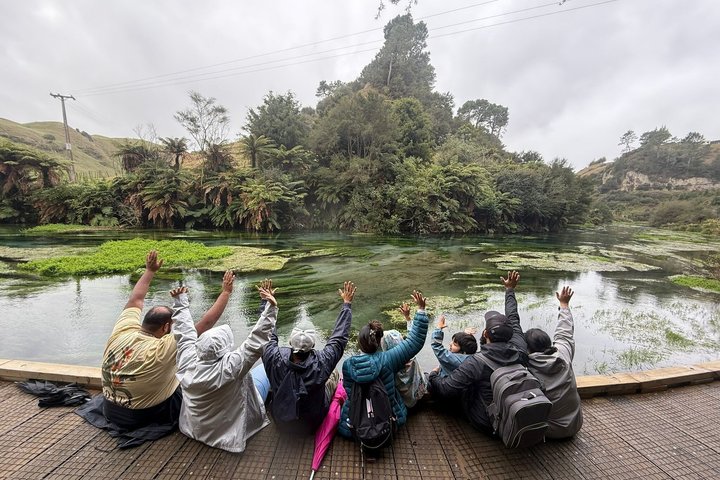 Auckland naar Waitomo Glowworms, Kiwi House & Blue Springs dagtour