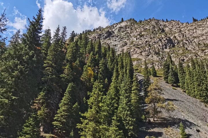 Excursión de un día del PRI al espectáculo de Nanshan y Erdaoqiao con cena en Urumqi