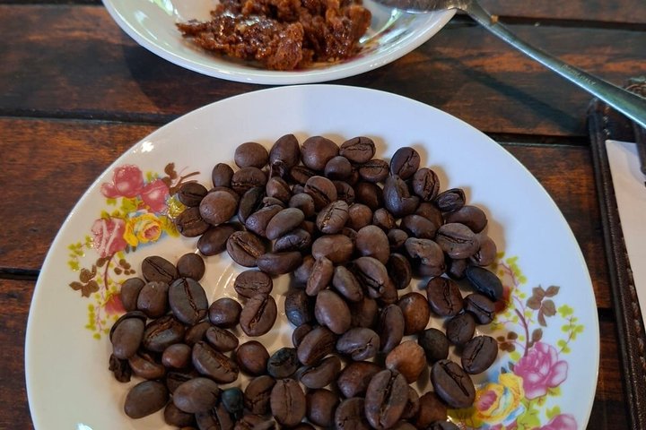 Visite de l'hôtel Coffee Plantation au complexe touristique MesaStila fr Semarang