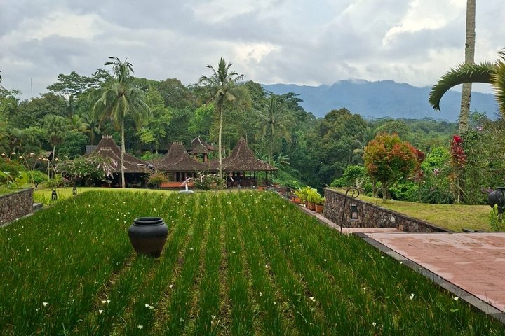 Visite de l'hôtel Coffee Plantation au complexe touristique MesaStila fr Semarang