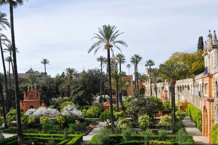 Tour di Siviglia in crociera con tempo libero dal porto di Cadice