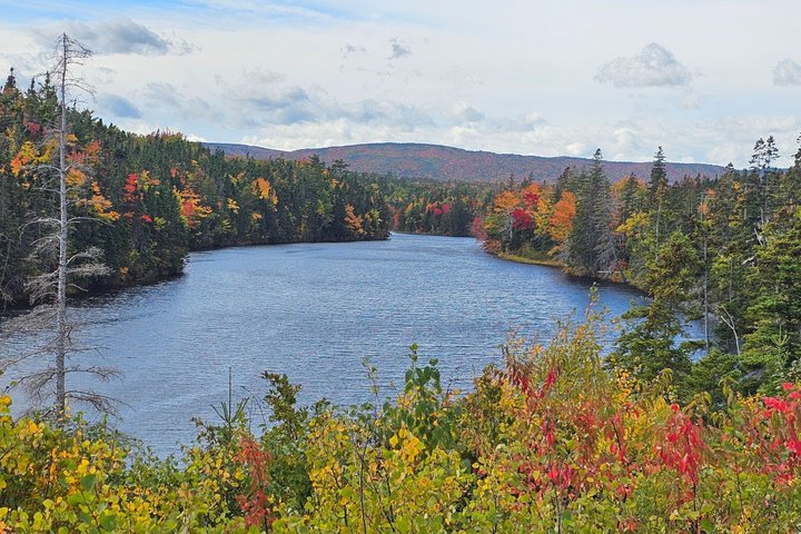 Cabot Trail : Excursion à Green Cove depuis le port de Sydney Cape breton