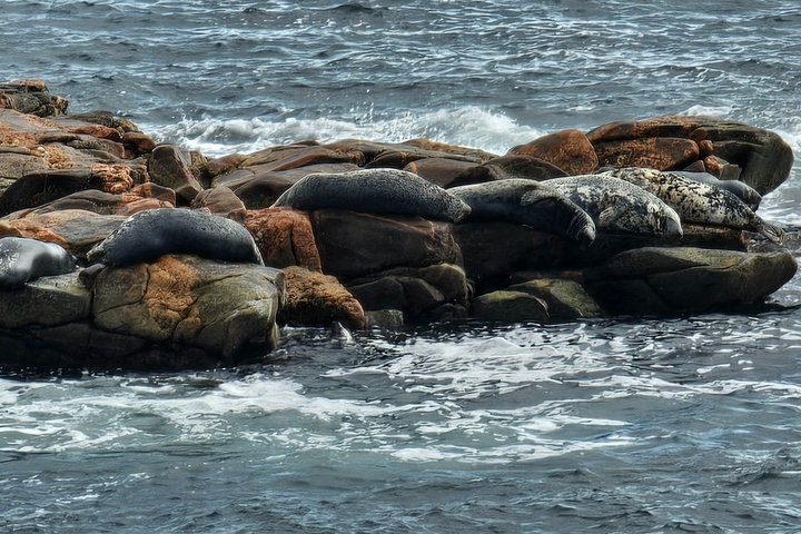 Cabot Trail : Excursion à Green Cove depuis le port de Sydney Cape breton