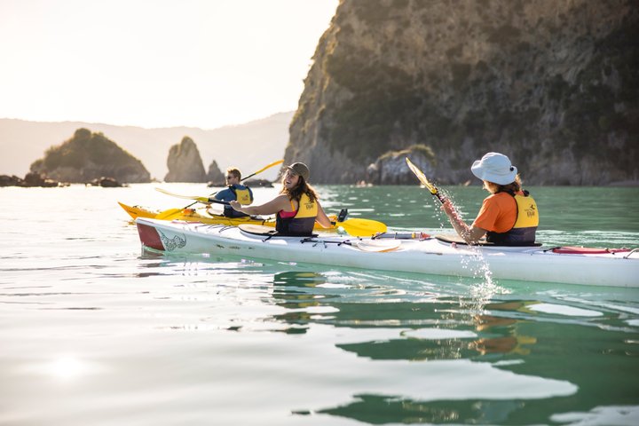 Abel Tasman: Tour in Kayak Guidati a Golden Bay