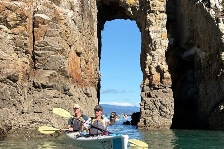 Abel Tasman: Tour in Kayak Guidati a Golden Bay