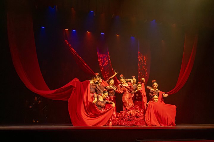 Flamenco Fusion Show mit Tapas und Getränken in Salou
