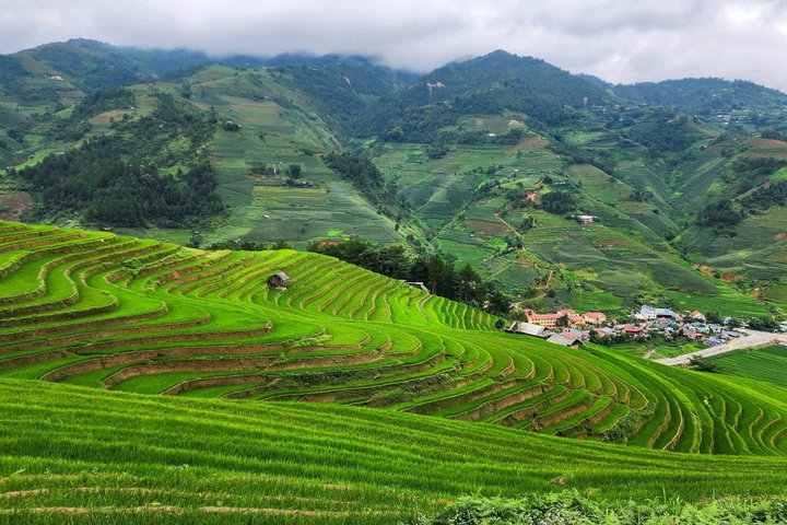 2 dias Mu Cang Chai Trekking Tour