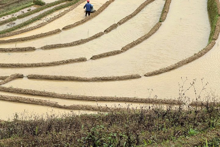 2 dias Mu Cang Chai Trekking Tour