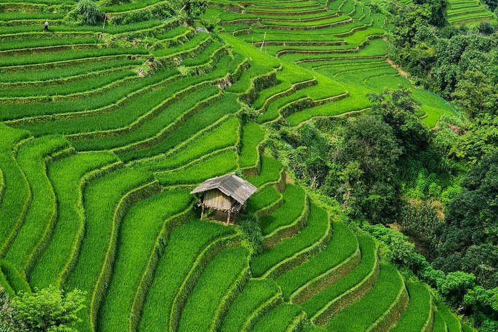 1 Dia Mu Cang Chai Moto Aventura e Terraços de Arroz