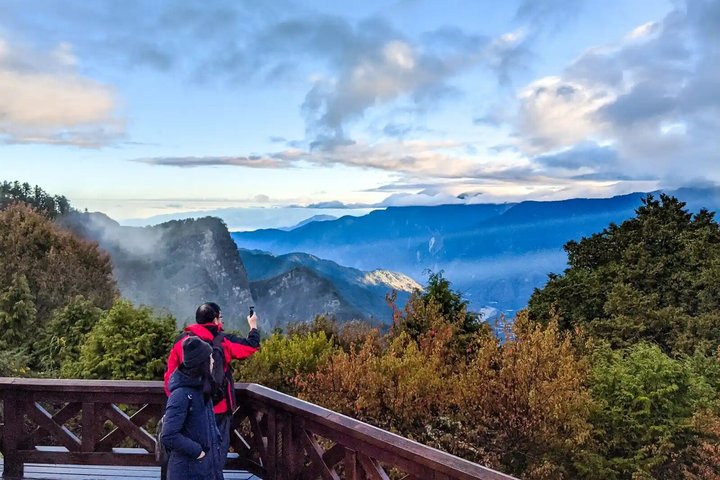 Excursión de un día al bosque nacional Alishan desde Taichung con recogida en el hotel