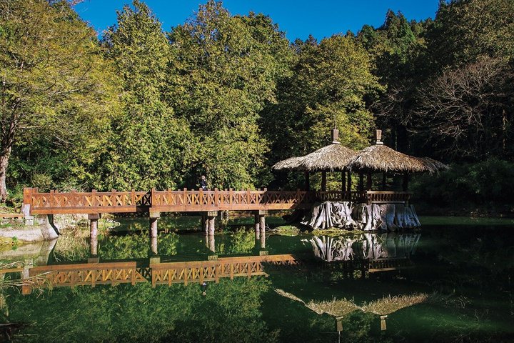Excursión de un día al bosque nacional Alishan desde Taichung con recogida en el hotel