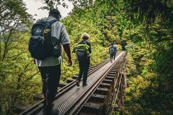 Excursión de un día al bosque nacional Alishan desde Taichung con recogida en el hotel