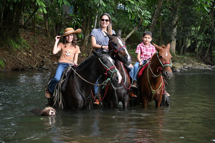 Horseback Riding Adventure i La Fortuna med River Crossings