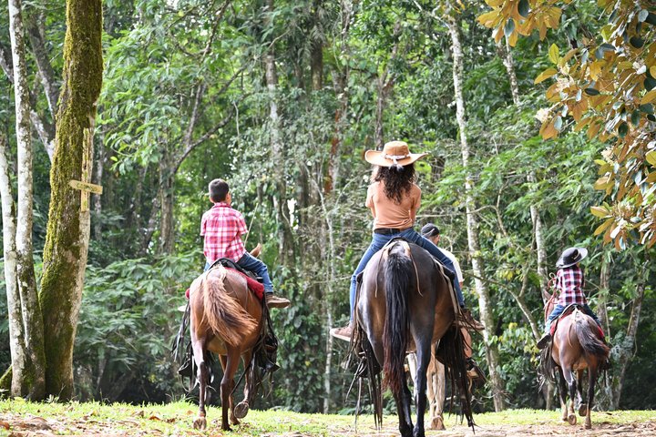 Horseback Riding Adventure i La Fortuna med River Crossings