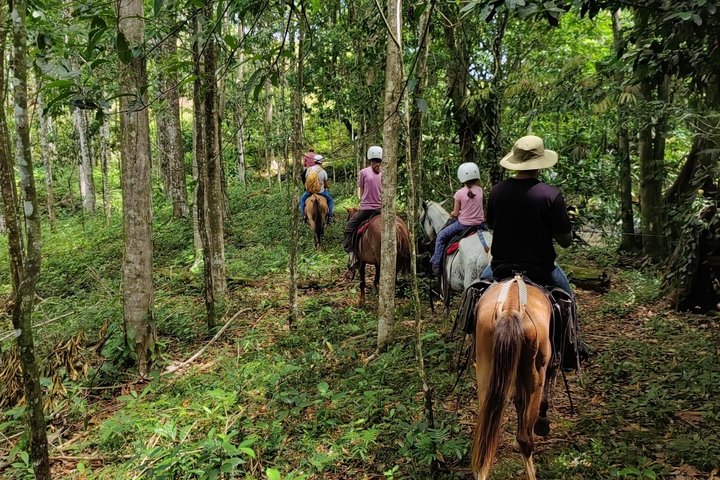 Horseback Riding Adventure i La Fortuna med River Crossings