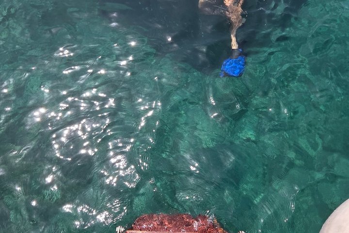 "Crociera da sogno" Crociera giornaliera dal porto di Argostoli con una tradizionale barca greca