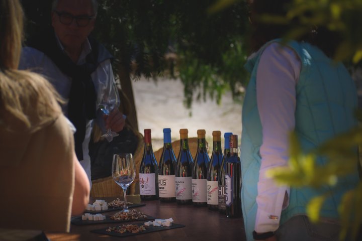 Degustazione di vini d'alta quota firmata Alcohuaz