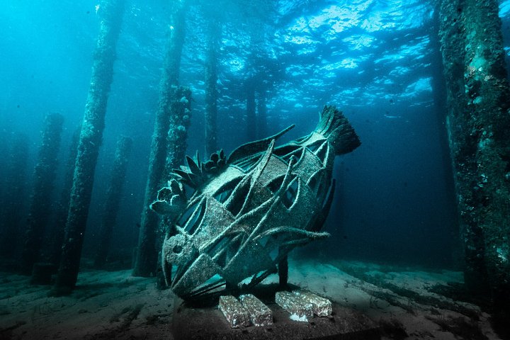 Busselton Jetty and Underwater Sculptures Snorkel Boat Tour