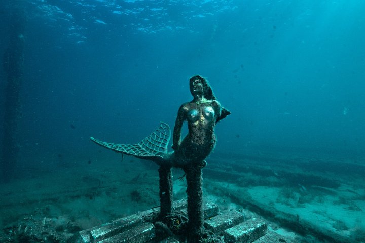 Busselton Jetty and Underwater Sculptures Snorkel Boat Tour
