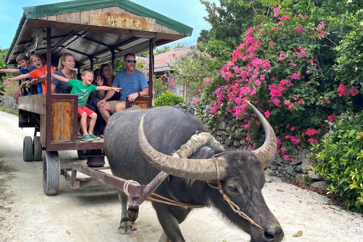 Tour panoramico e delle gemme nascoste di Okinawa settentrionale 1–8 ospiti(4 - 8H)