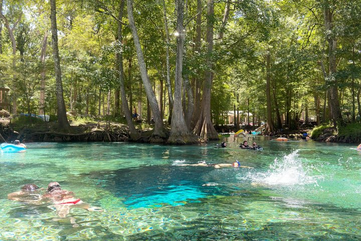 Tour ecologico in kayak con fondo in vetro di Ginnie Springs