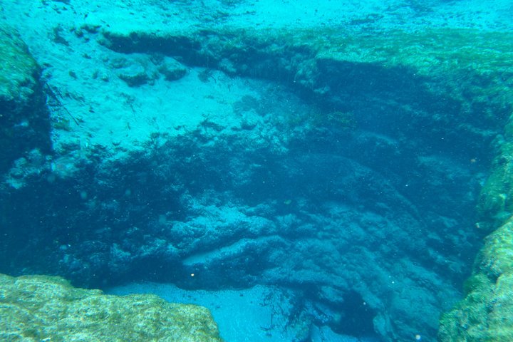 Tour ecologico in kayak con fondo in vetro di Ginnie Springs