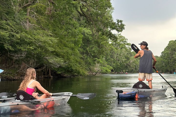 Tour ecologico in kayak con fondo in vetro di Ginnie Springs