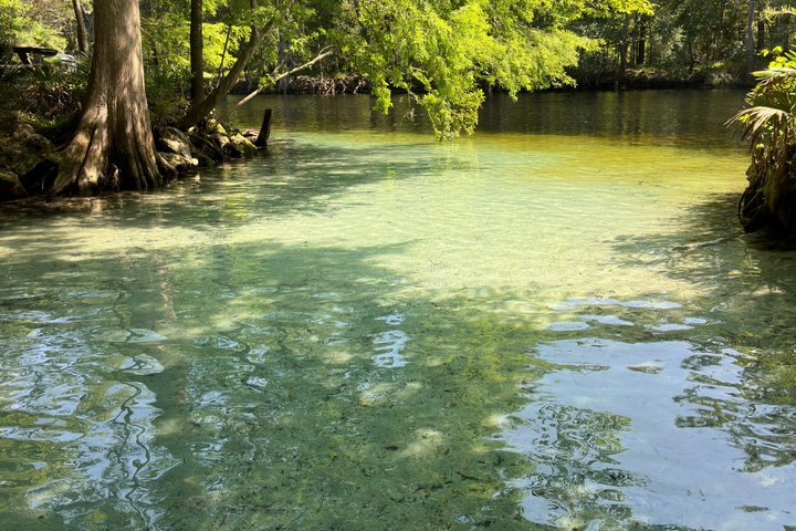 Tour ecologico in kayak con fondo in vetro di Ginnie Springs