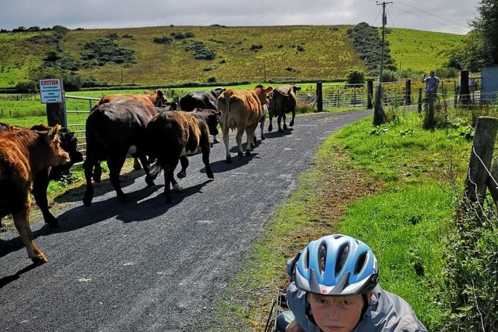 E-Bike Cycle Greenway - Westport Till Achill Island Atlantkusten