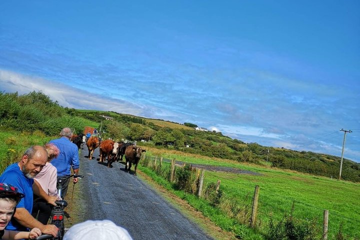 E-Bike Cycle Greenway - Westport Till Achill Island Atlantkusten
