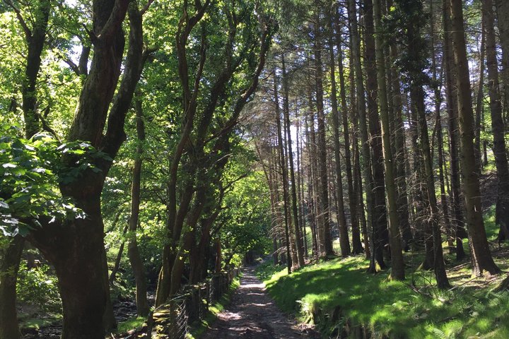 Private Garden og Glens Tour av Isle of Man
