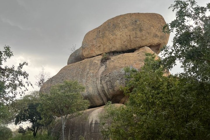 Private Harare City Tour: Wildlife, kunst og ikoniske landemerker