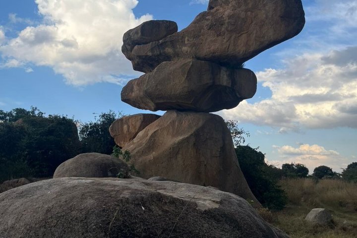 Private Harare City Tour: Wildlife, kunst og ikoniske landemerker