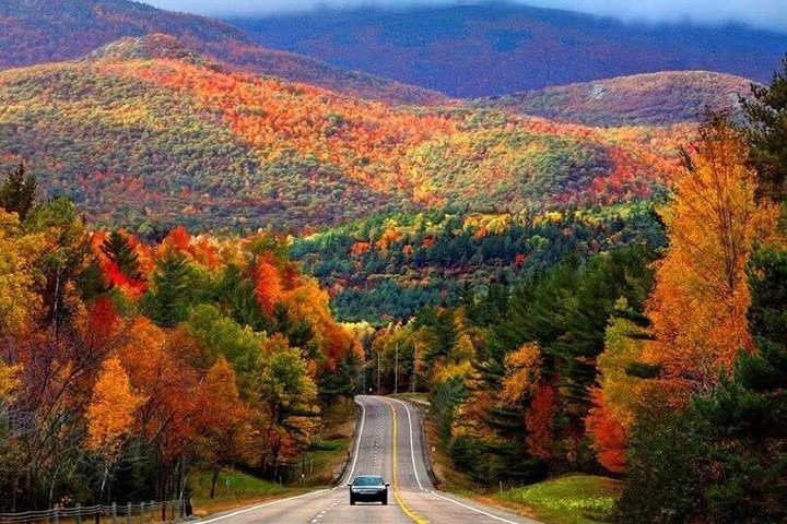 Activiteiten in de omgeving van Bell Museum Baddeck and Mini Cabot Trail Cape Breton