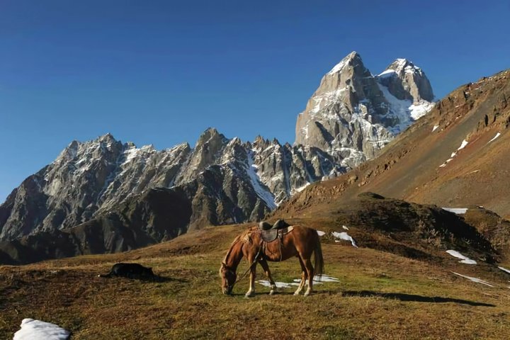Tour privato di un giorno da Kutaisi al Passo di Svaneti Zagar e Ushguli