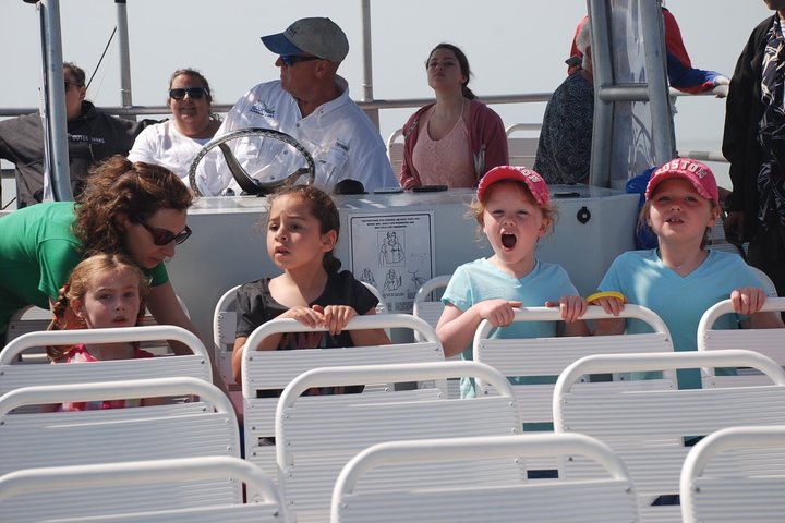 Hoteller i nærheden af TursiOps Dolphin Watch Cruise Murrells Inlet