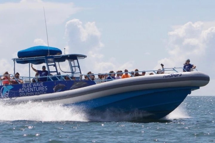Hoteller i nærheden af TursiOps Dolphin Watch Cruise Murrells Inlet