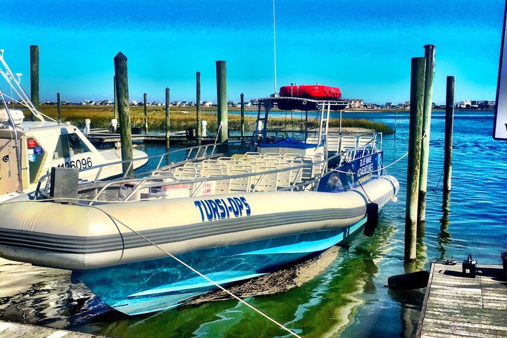 Hoteller i nærheden af TursiOps Dolphin Watch Cruise Murrells Inlet