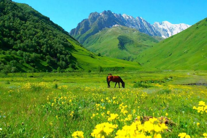 Tour privato di un giorno da Kutaisi al Passo di Svaneti Zagar e Ushguli
