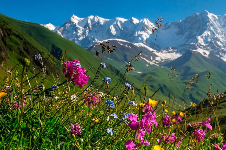 Tour privato di un giorno da Kutaisi al Passo di Svaneti Zagar e Ushguli