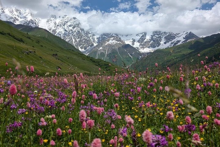 Tour privato di un giorno da Kutaisi al Passo di Svaneti Zagar e Ushguli