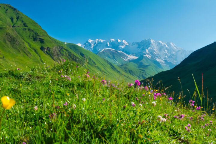 Tour privato di un giorno da Kutaisi al Passo di Svaneti Zagar e Ushguli